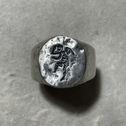 THE ANTEROS RING